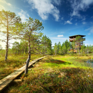 Лахемаа 02.11 - 10€